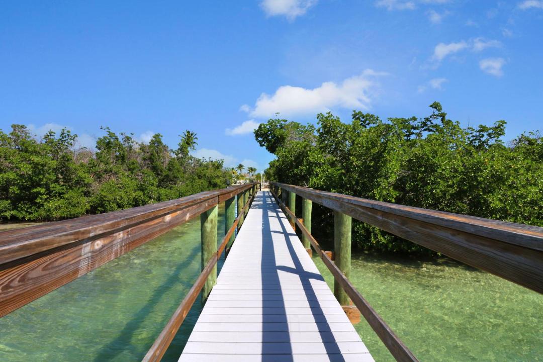 Photo of Others in Big Pine Key