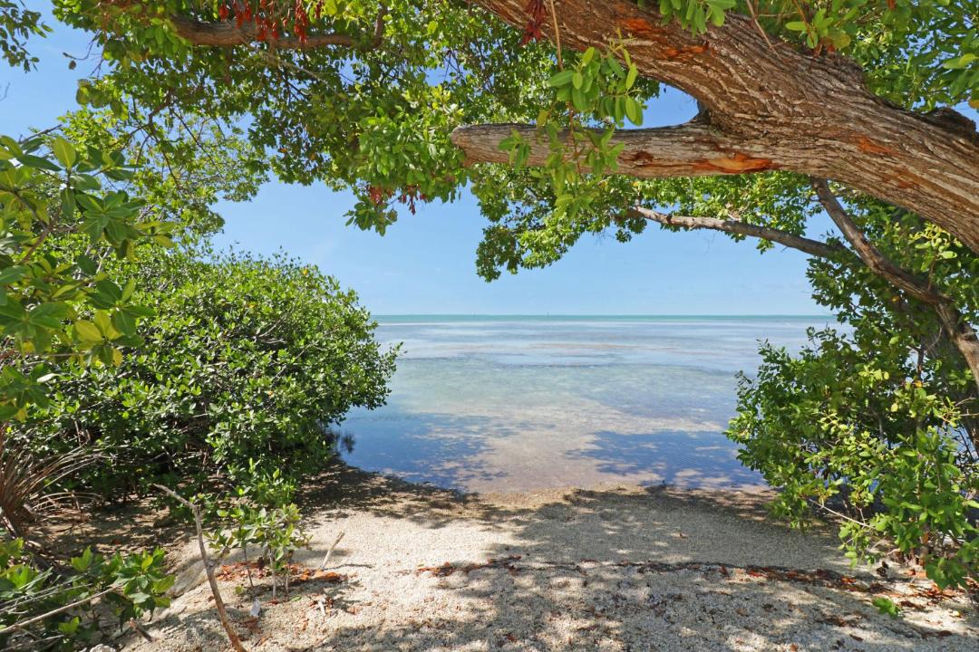 Photo of Outdoor in Big Pine Key