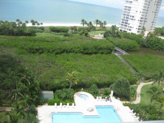 Photo of Outdoor in Park Shore