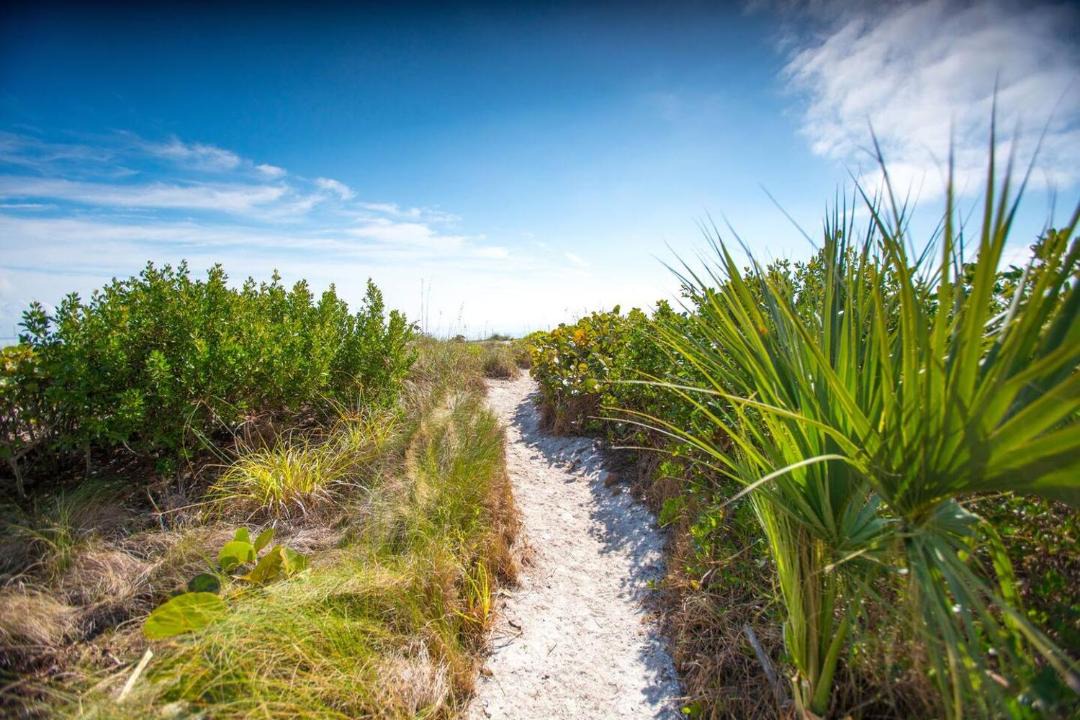 Photo of Others in Sanibel