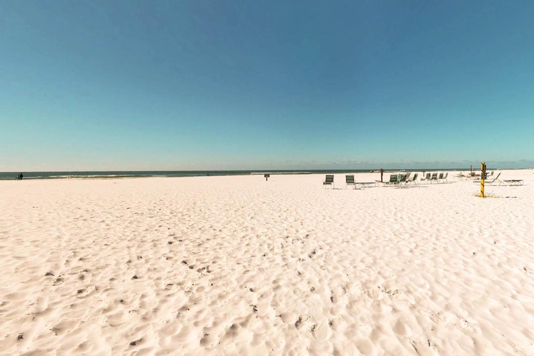 Photo of Others in Siesta Key