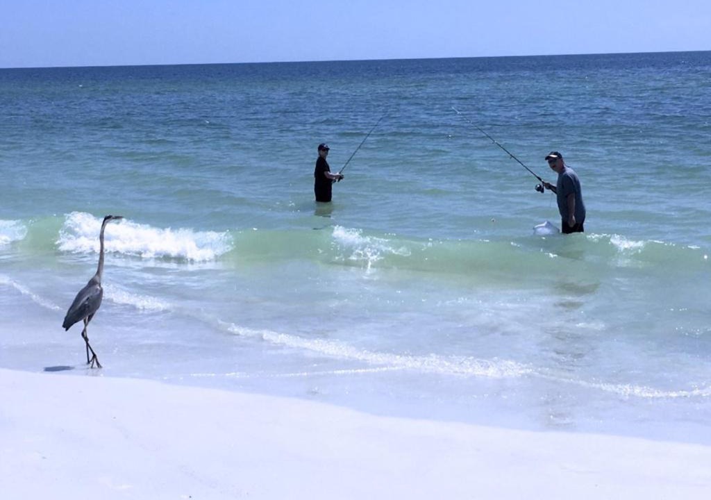 Photo of Others in Holmes Beach