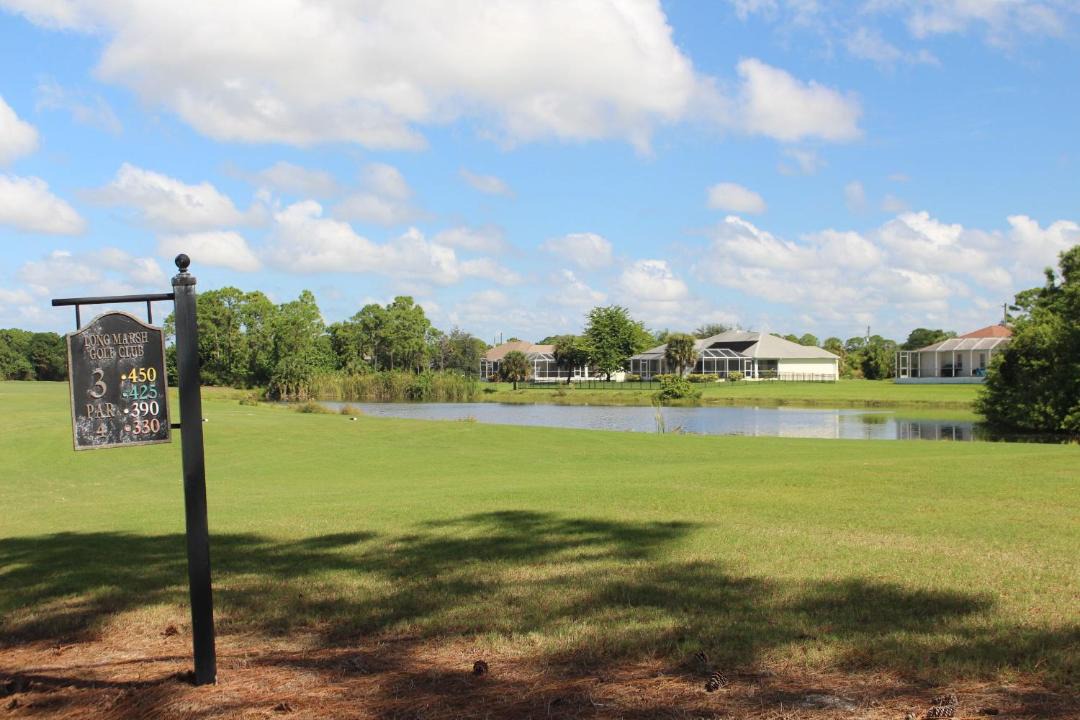 Photo of Outdoor in White Marsh