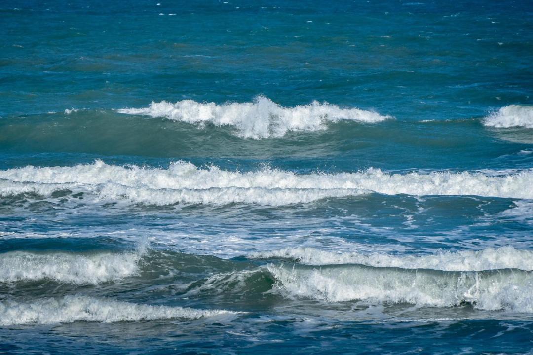 Photo of Others in Port Canaveral