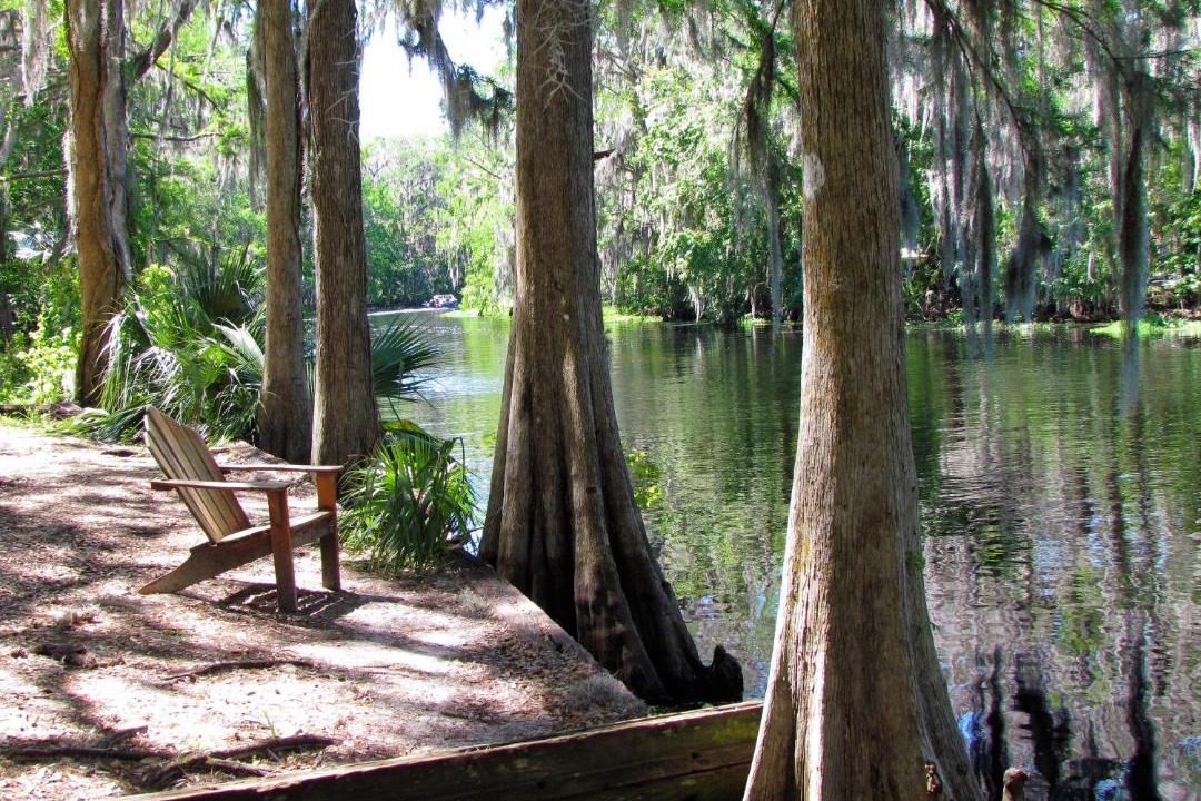 Photo of Others in Cross Creek
