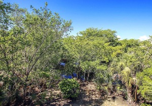 Gulf Pines Too | 4 Bed, 3 Bath