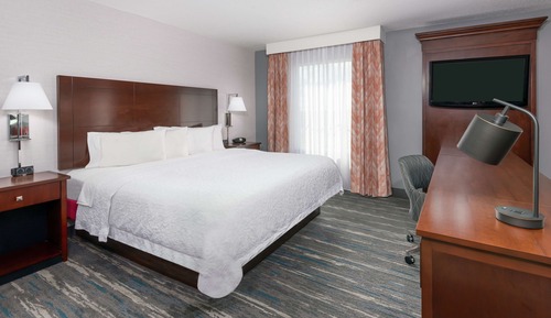 Studio, 1 King Bed, Accessible (Roll-In Shower)