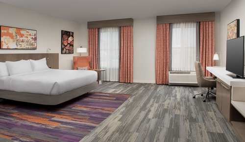 Room, 1 King Bed, Accessible (Roll-In Shower)