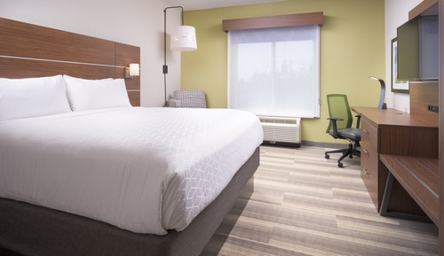 Standard Room, 1 King Bed, Accessible (Roll-In Shower)