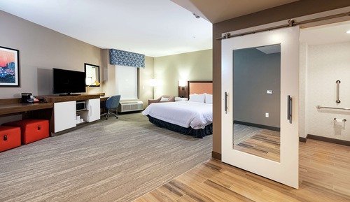 Room, 1 King Bed, Bathtub