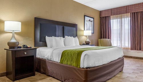 Standard Room, 1 King Bed, Non Smoking