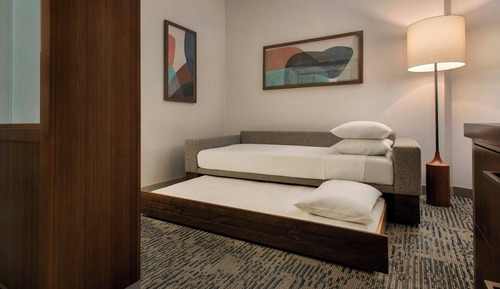 Suite, 1 King Bed, Accessible Roll-In 