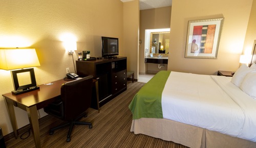 Room, 1 King Bed, Non Smoking