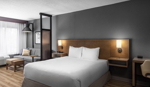 Room, 1 King Bed, Accessible, Bathtub