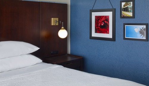 Room, 1 King Bed