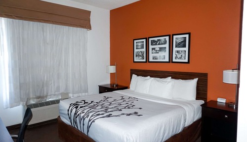 Standard Room, 1 King Bed, Non Smoking