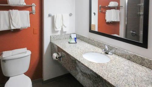 Room, 1 King Bed, Accessible, Non Smoking