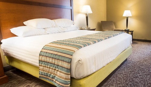 Room, 1 King Bed