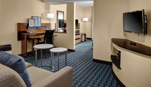 Suite, 1 King Bed with Sofa bed