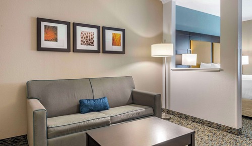 Suite, 1 King Bed with Sofa bed, Accessible, Non Smoking