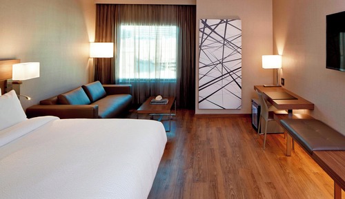 Room, 1 King Bed