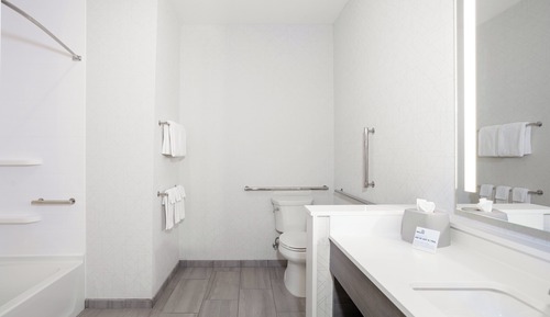 Standard Room, 1 King Bed, Accessible (Mobility, Accessible Tub)
