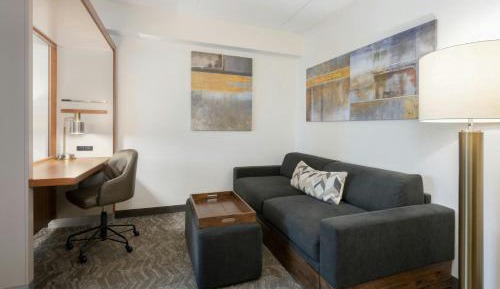 Studio with King Bed and Trundle Sofa