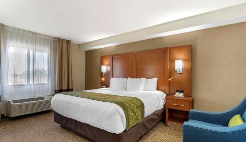 Standard King Room - Non-Smoking 