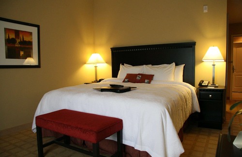 Dade City Hotel | Hampton Inn Dade City - Zephyr Hills